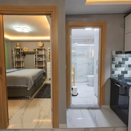公寓 Boutique With Sea View In Crush House 图兰克